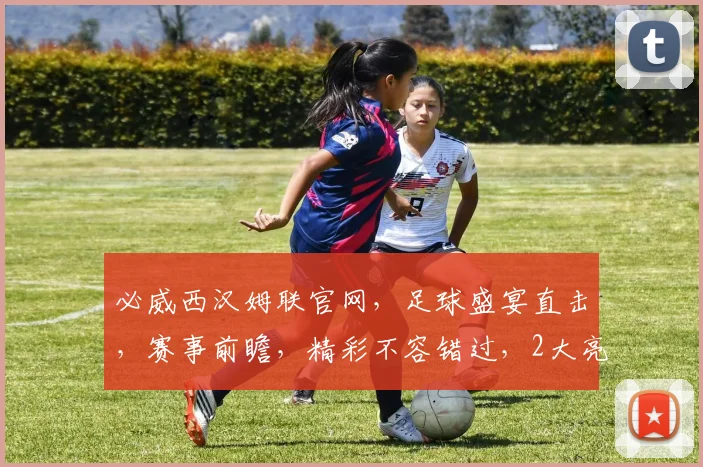 必威西汉姆联官网，足球盛宴直击，赛事前瞻，精彩不容错过，2大亮点，速来一探