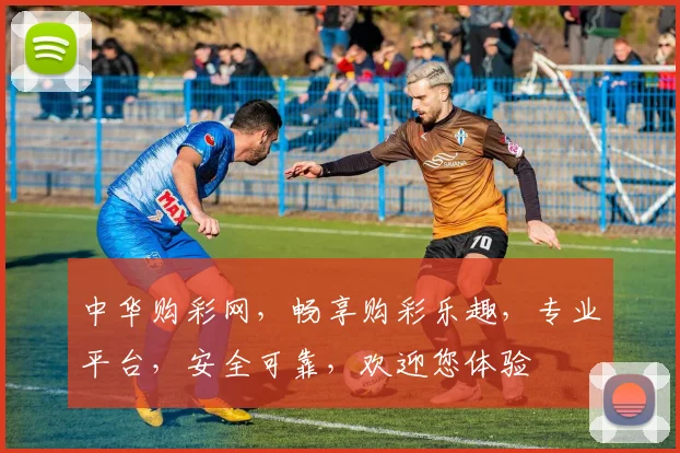 中华购彩网，畅享购彩乐趣，专业平台，安全可靠，欢迎您体验