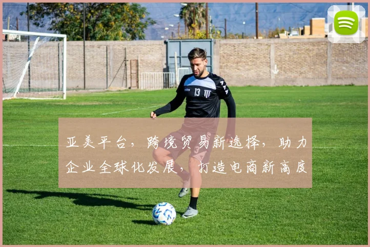 亚美平台，跨境贸易新选择，助力企业全球化发展，打造电商新高度，实现共赢