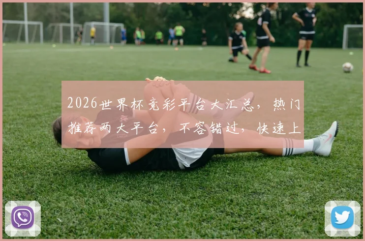 2026世界杯竞彩平台大汇总，热门推荐两大平台，不容错过，快速上手