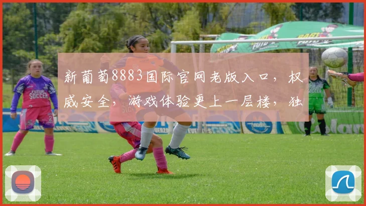 新葡萄8883国际官网老版入口，权威安全，游戏体验更上一层楼，独家攻略分享